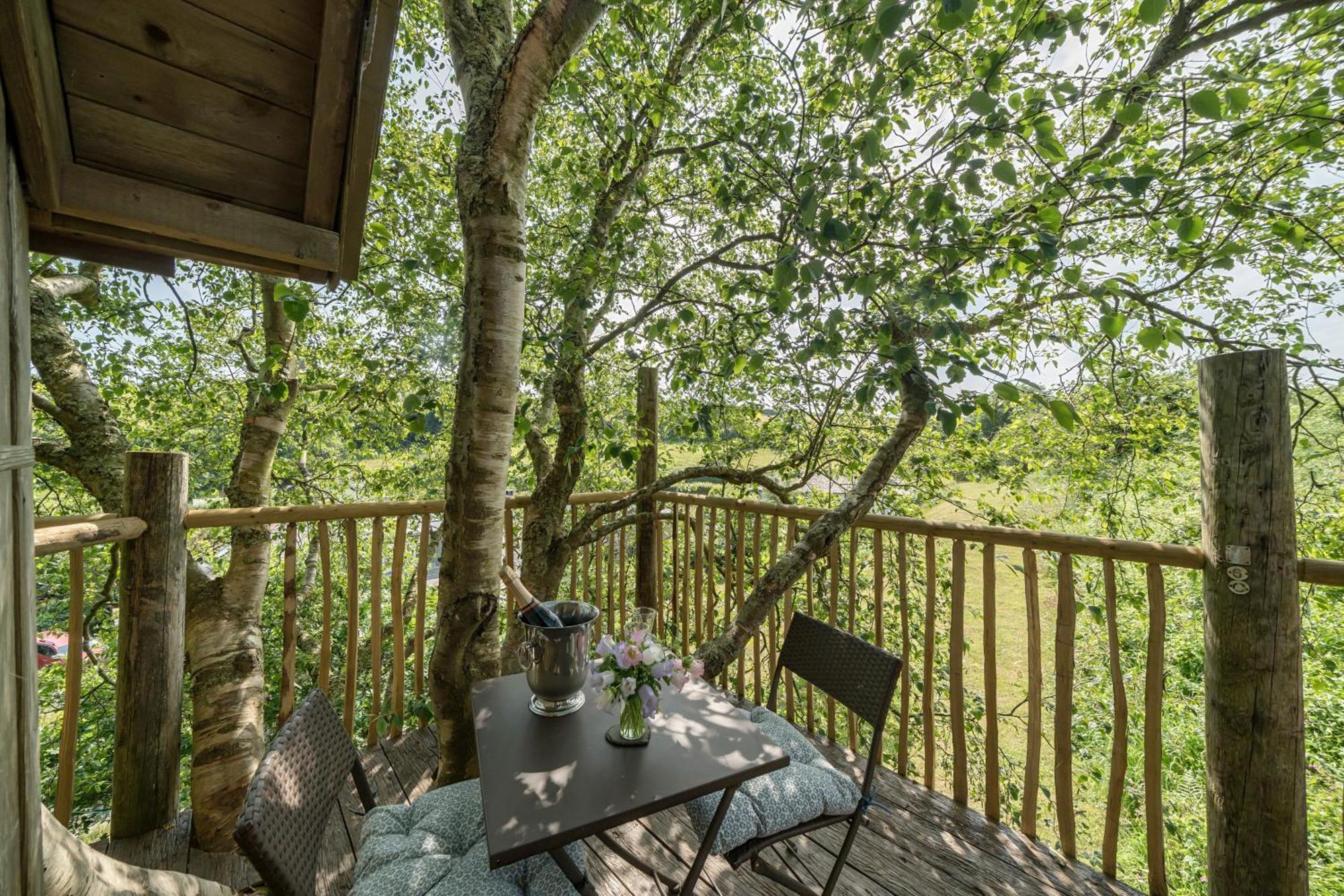 The Treehouse At Salcombe Farm Villa Dış mekan fotoğraf