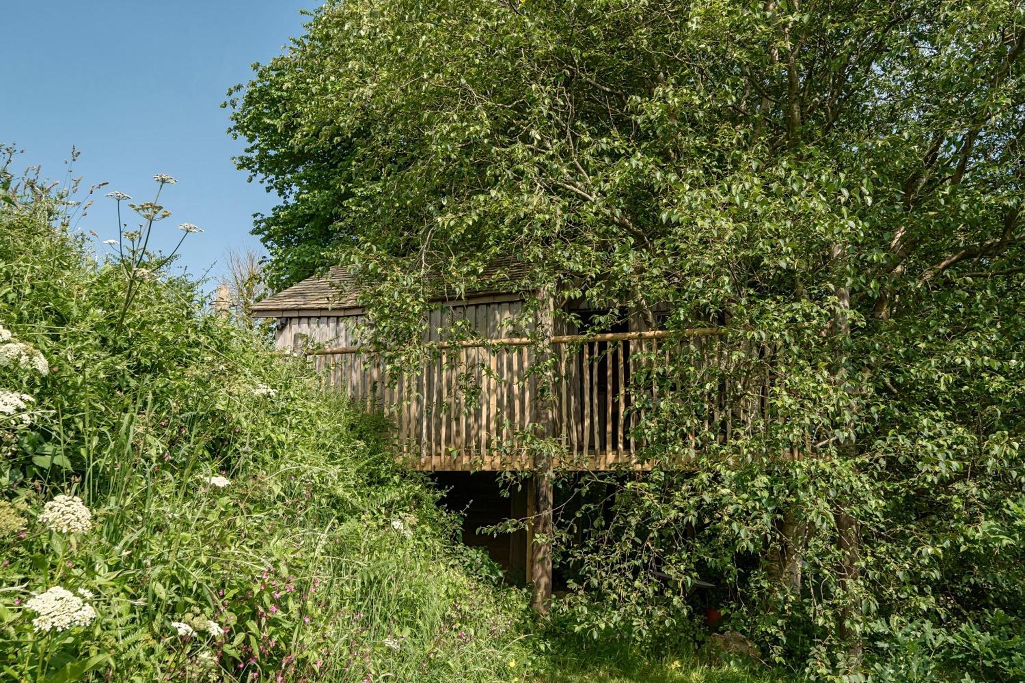 The Treehouse At Salcombe Farm Villa Dış mekan fotoğraf