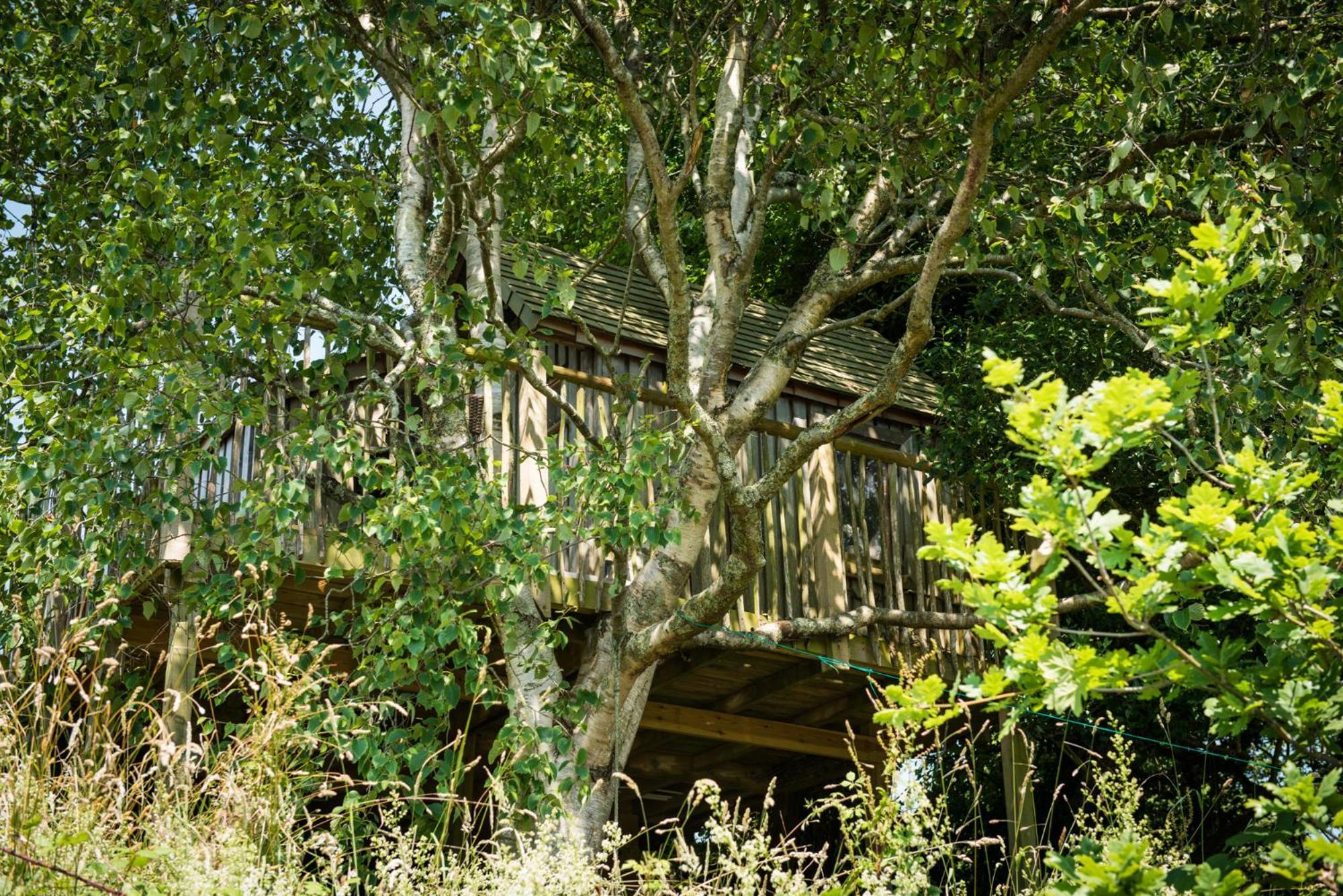 The Treehouse At Salcombe Farm Villa Dış mekan fotoğraf